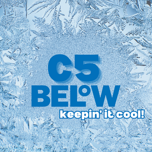 Team Page: Classroom Five - C5 Below (keeping’ it cool!)